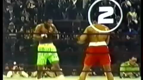 TVS Boxing live TV