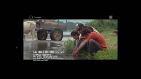Canal 15 ILCE Summa Sabres live TV