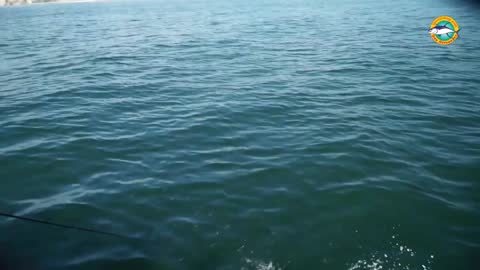 Sport Fishing TV live TV