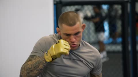 UFC live TV