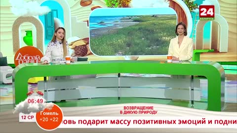 Belarus-24 live TV