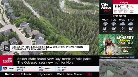 CityNews Calgary live TV