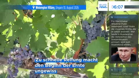 Euronews German live TV