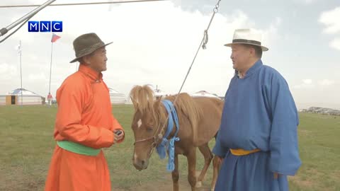 Mongolia free live TV