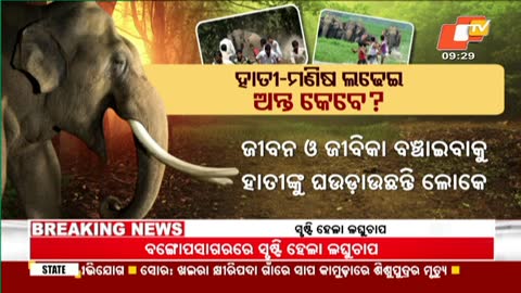 Odisha TV live TV