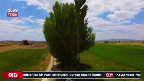 OlayTurk TV live TV
