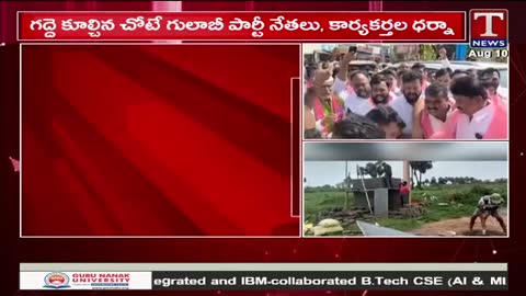 T News live TV