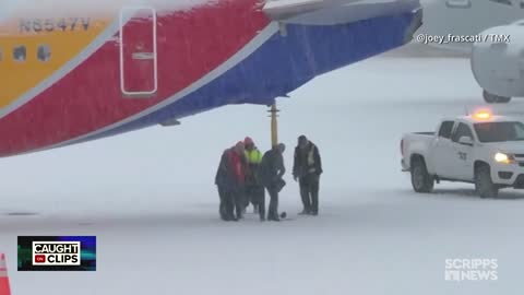 Top Stories by Newsy live TV