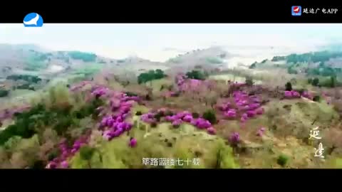 延边新闻综合 live TV