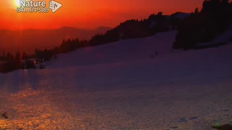 Better Life Nature Channel live TV
