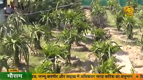 DD Kisan live TV
