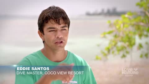 Love Nature en Espanol live TV