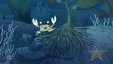 PBS Kids Alaska live TV