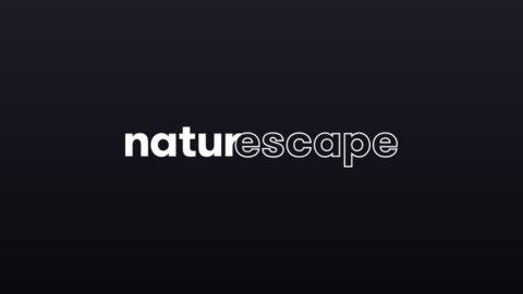 Naturescape – Pluto TV live TV
