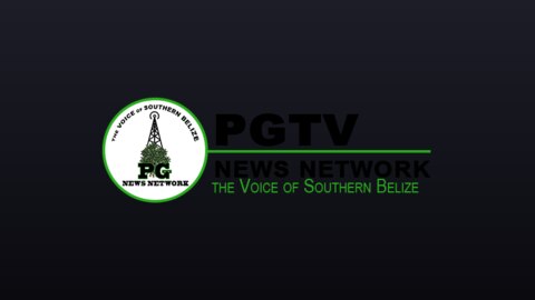 PGTV live TV
