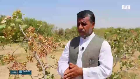 Eslah TV live TV