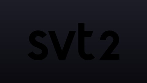 SVT2 live TV