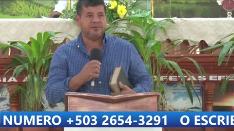 Arbol de Vida TV live TV