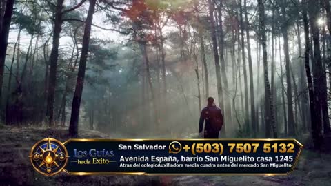 Canal 11 TuTV live TV