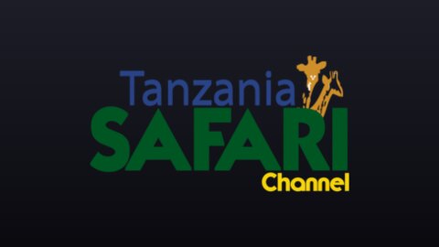 Tanzania Safari Channel live TV