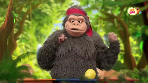 Zoo Moo (Australia) (1080p) live TV