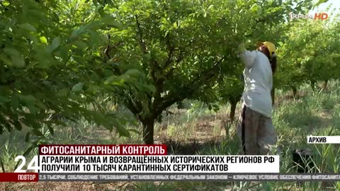 Первый Крымский (720p) live TV
