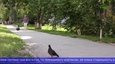 Самара ГИС (1080p) live TV