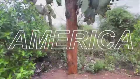 América Estéreo Tulcán (614p) live TV