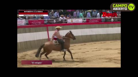 Campo Abierto TV (720p) live TV