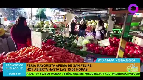 Cultura Online live TV