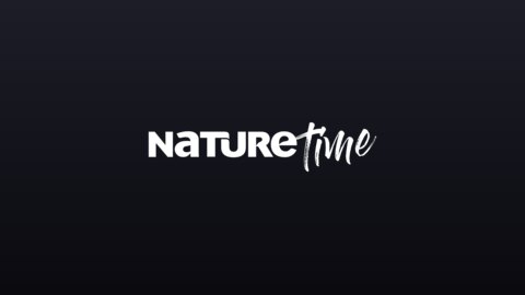 NatureTime (1080p) live TV