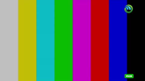 Tele Posadas (720p) live TV