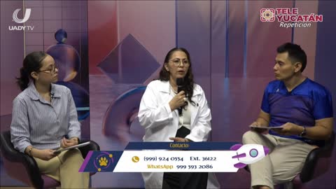 Tele Yucatan (1080p) live TV
