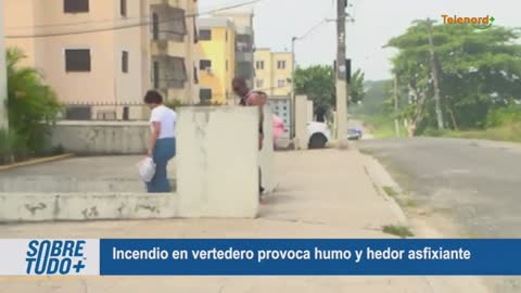 Telenord 10 (720p) live TV
