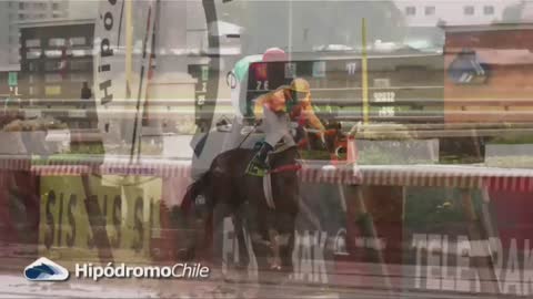 Teletrak (720p) live TV