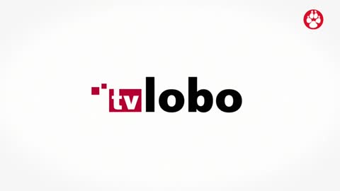 TV Lobo Durango (720p) live TV