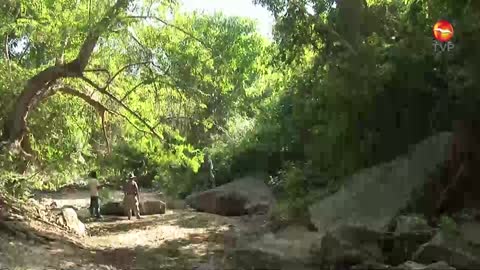 TVP Mazatlán (720p) live TV