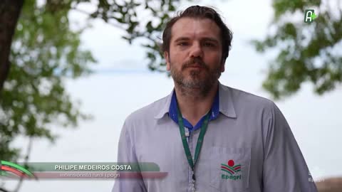 AgroMais live TV