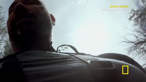 National Geographic live TV