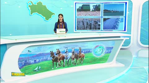 Yaslyk live TV
